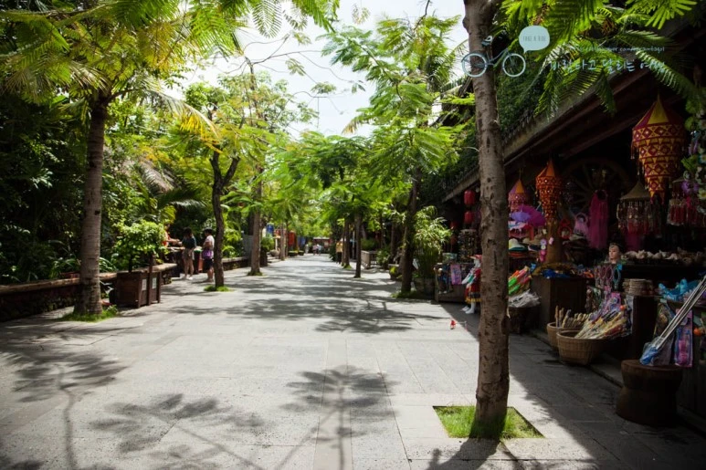 IMG_0513_wide1080%EB%B0%94%EB%9E%8Cmark.jpg?type=w773