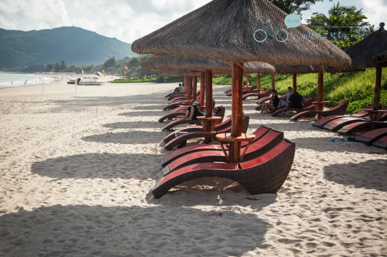 IMG_0802_wide1080%EB%B0%94%EB%9E%8Cmark.jpg?type=w773