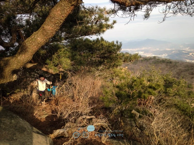 IMG_1581-_Wide1080mark.jpg?type=w773