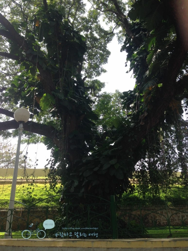 IMG_2854.jpg?type=w773