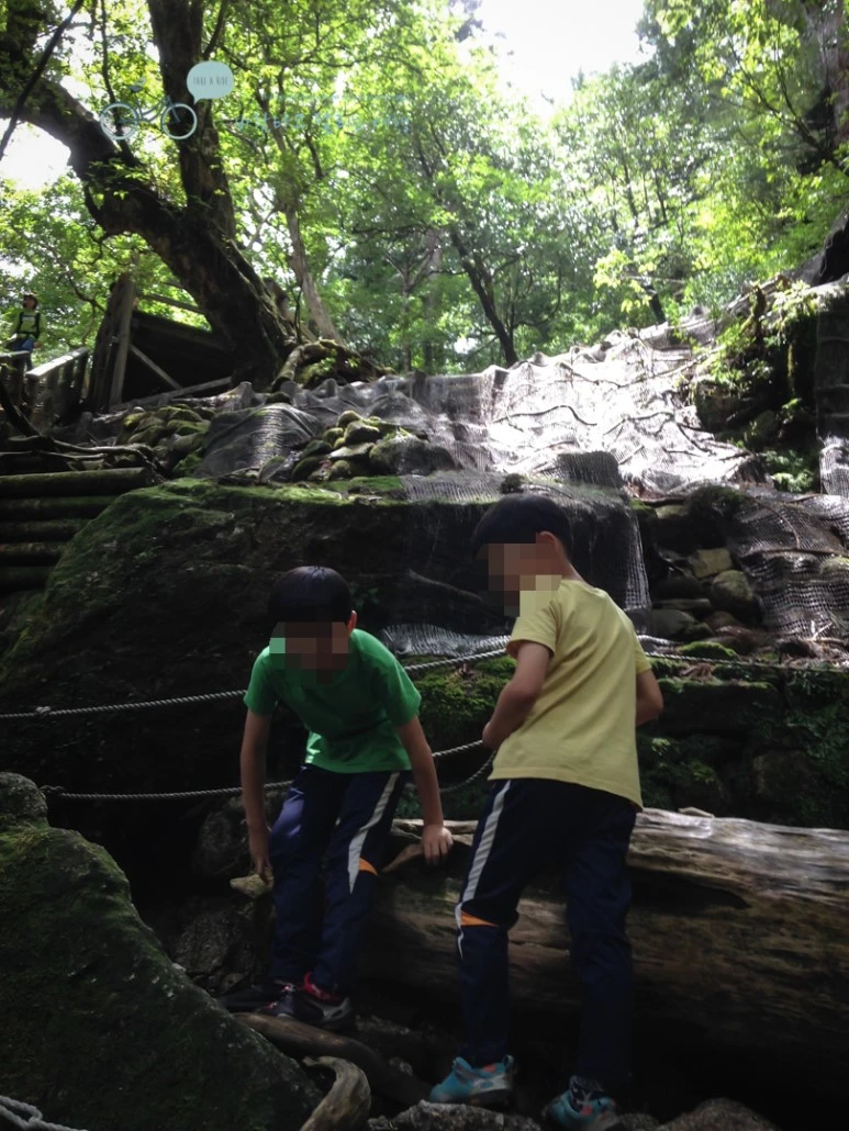 image_6110424491487121756644.jpg?type=w773