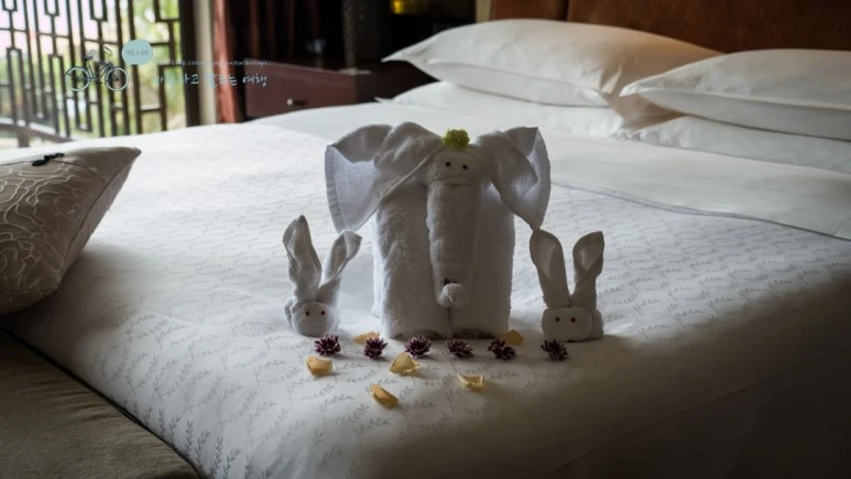 _1020092_wide1080_Wide1080mark_%EB%B0%94%EB%9E%8C.jpg?type=w773