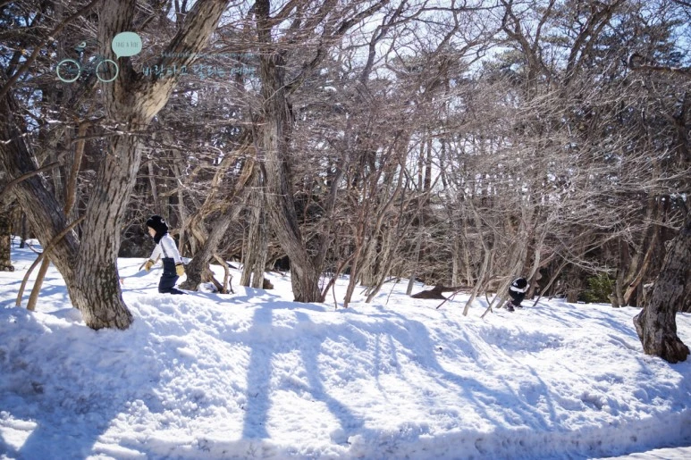 DSC00023_3.jpg?type=w773