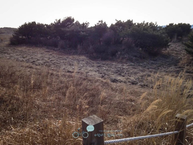 IMG_1536-_Wide1080mark.jpg?type=w773