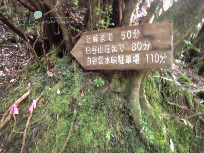 IMG_1282_wide1080.jpg?type=w773