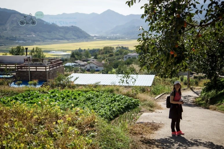 image_2164716391480290773079.jpg?type=w773