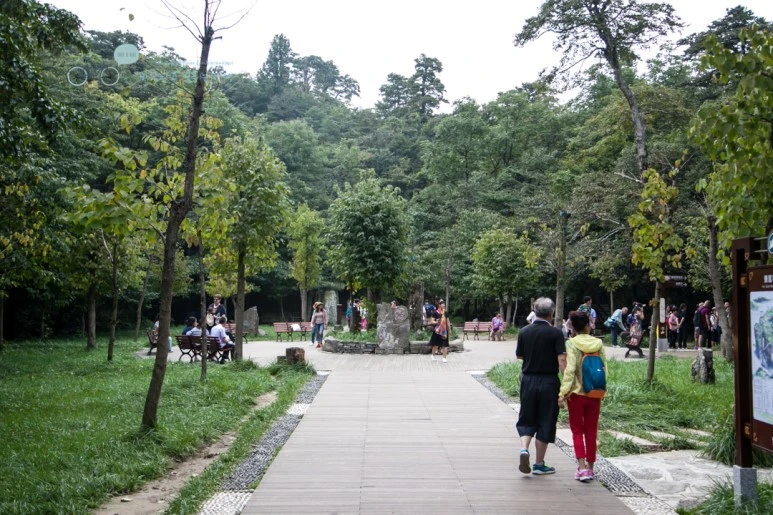 IMG_0386_Wide1080mark%EB%B0%94%EB%9E%8C.jpg?type=w773