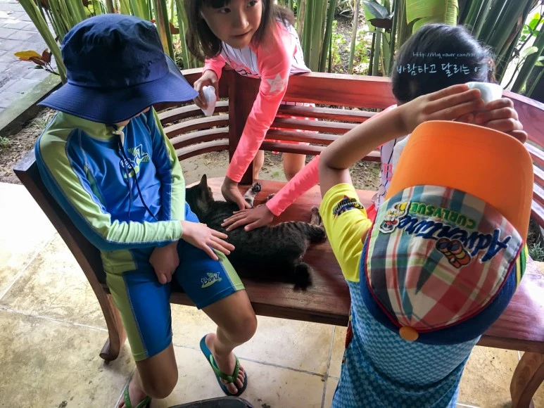 iPhone_IMG_3983_Short1200mark%EB%B0%94%EB%9E%8C.jpg?type=w773