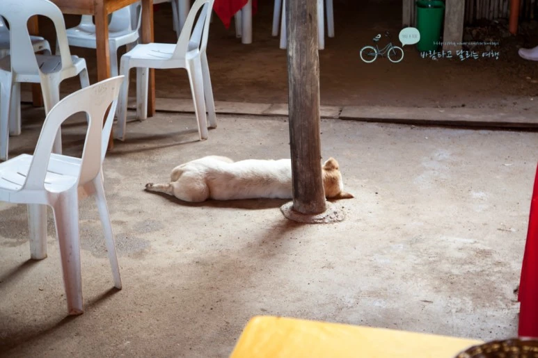 IMG_2222_Wide1080mark%EB%B0%94%EB%9E%8C%ED%83%80%EA%B3%A0.jpg?type=w773