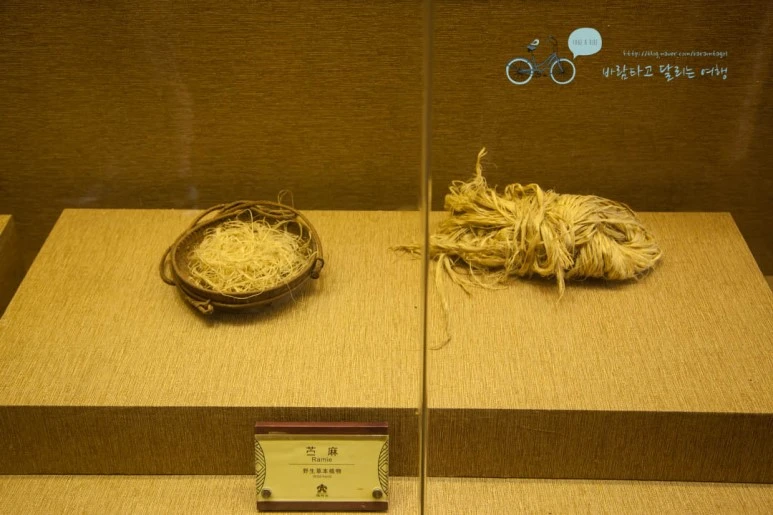 IMG_0210_wide1080%EB%B0%94%EB%9E%8Cmark.jpg?type=w773