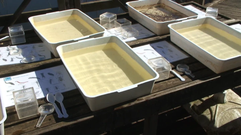 %B9%CE%BD%BA%B9%CC%BE%EE_%BC%F6%BC%AD%BB%FD%B9%B0_%C7%C1%B7%CE%B1%D7%B7%A52.png?type=w773