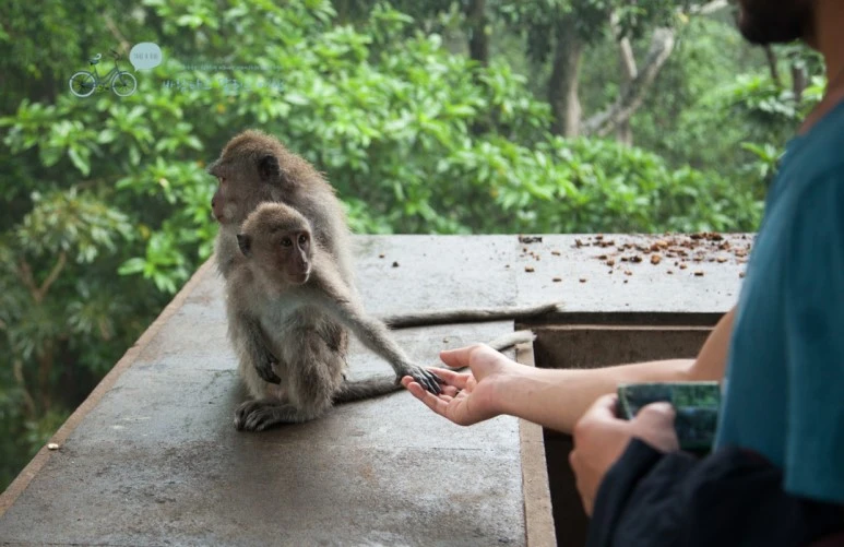 IMG_0216_Wide1080mark%EB%B0%94%EB%9E%8C%ED%83%80%EA%B3%A0-3.jpg?type=w773