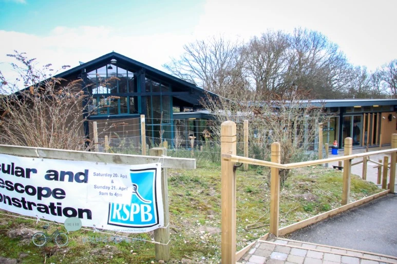 IMG_3163.jpg?type=w773