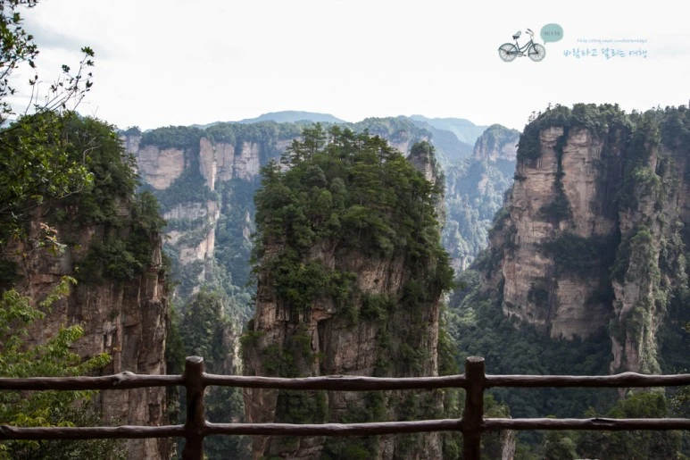 IMG_1281_Wide1080mark%EB%B0%94%EB%9E%8C.jpg?type=w773