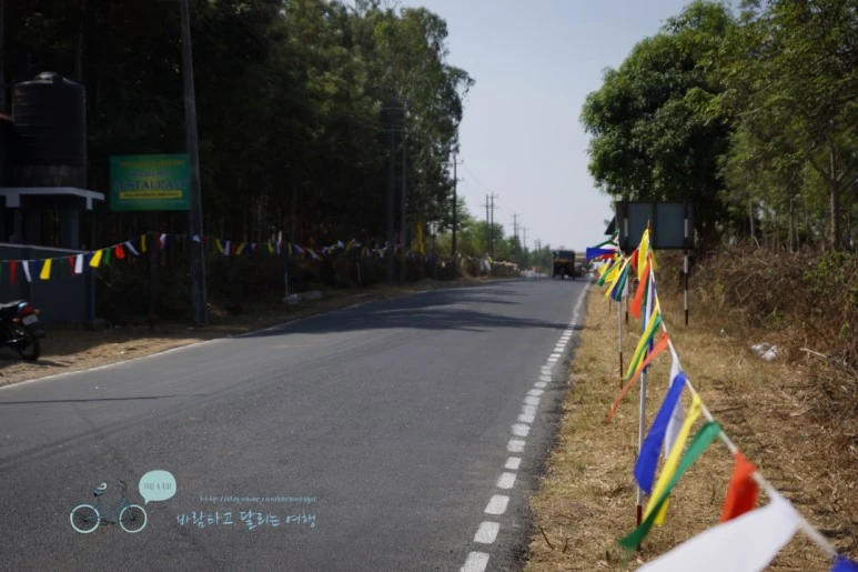 DSC00023.jpg?type=w773