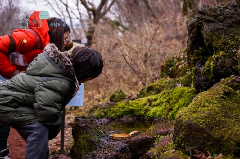 DSC00423.jpg?type=w773