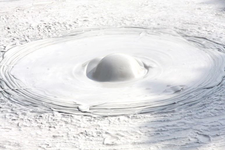 %EC%98%A4%EB%8B%88%EC%9D%B4%EC%8B%9C%EB%B3%B4%EC%98%A4%EC%A6%88%EC%A7%80%EC%BD%94%EC%BF%A002.jpg?type=w773