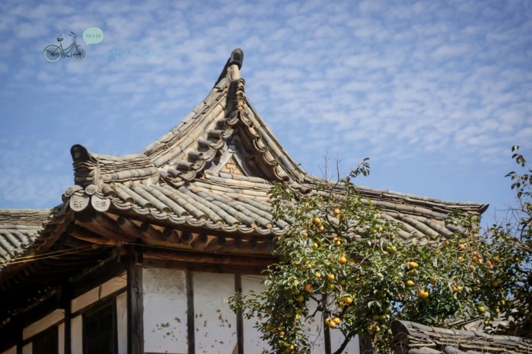 DSC04907_wide1080mark.jpg?type=w773