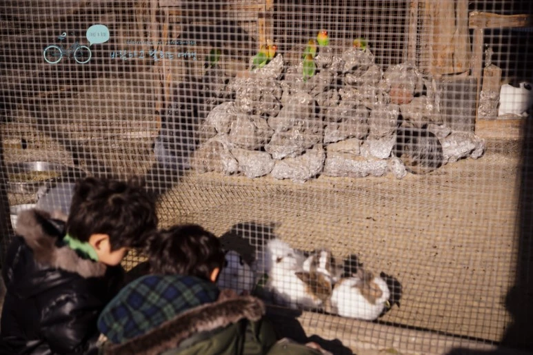 DSC00066_5.jpg?type=w773