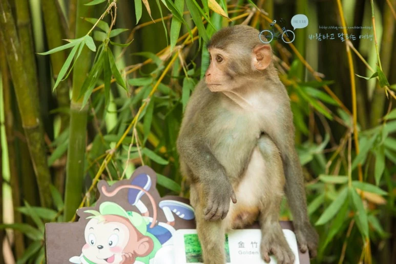 IMG_1497_wide1080%EB%B0%94%EB%9E%8Cmark.jpg?type=w773