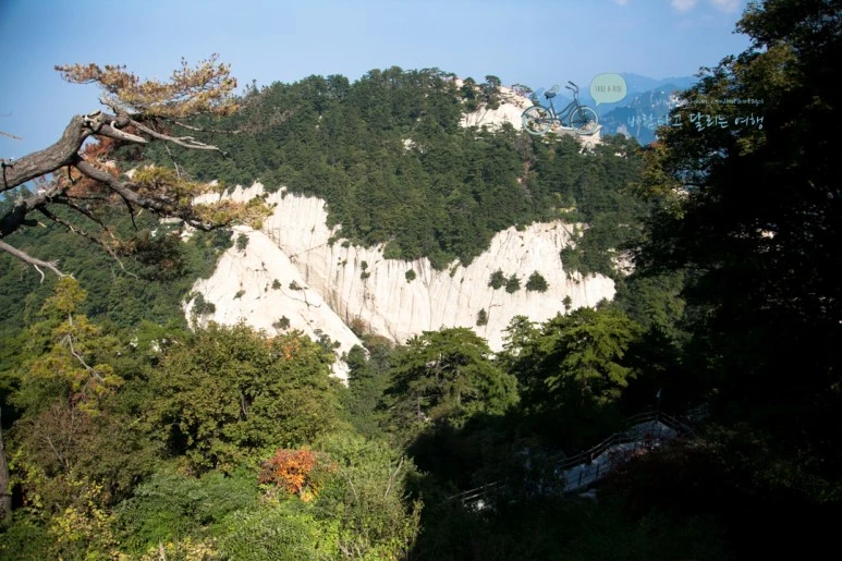 IMG_0223_Wide1080_mark%EB%B0%94%EB%9E%8C.jpg?type=w773