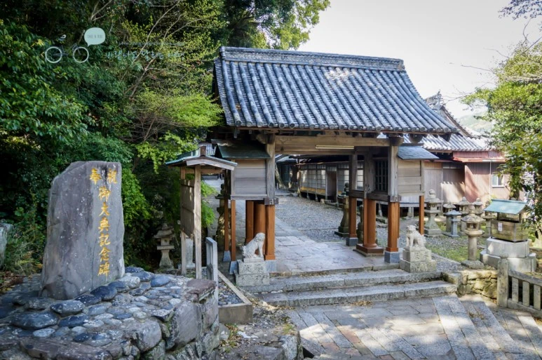 DSC07941_wide1080mark.jpg?type=w773