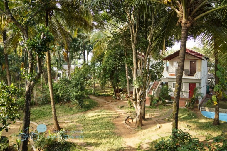 DSC00004.jpg?type=w773