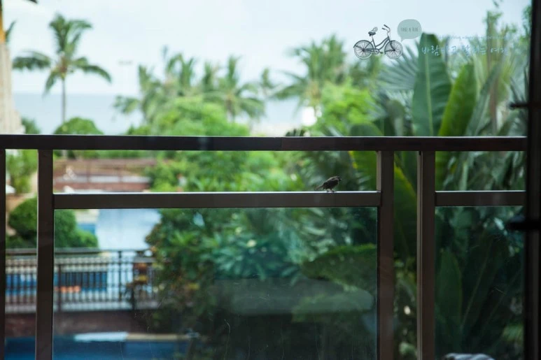 IMG_1747_wide1080%EB%B0%94%EB%9E%8Cmark.jpg?type=w773