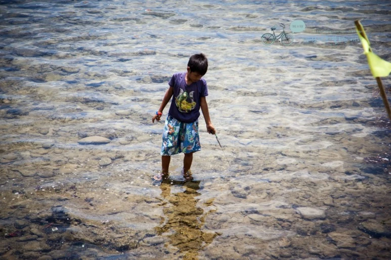 IMG_1970_Wide1080mark%EB%B0%94%EB%9E%8C%ED%83%80%EA%B3%A0.jpg?type=w773