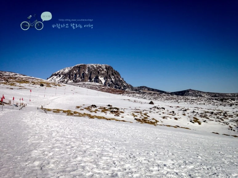 IMG_2679.jpg?type=w773