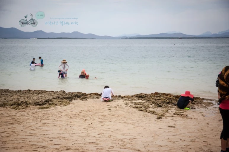 IMG_1735_Wide1080mark%EB%B0%94%EB%9E%8C%ED%83%80%EA%B3%A0.jpg?type=w773