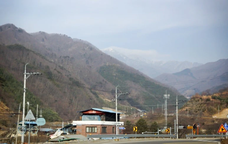 DSC00005.jpg?type=w773