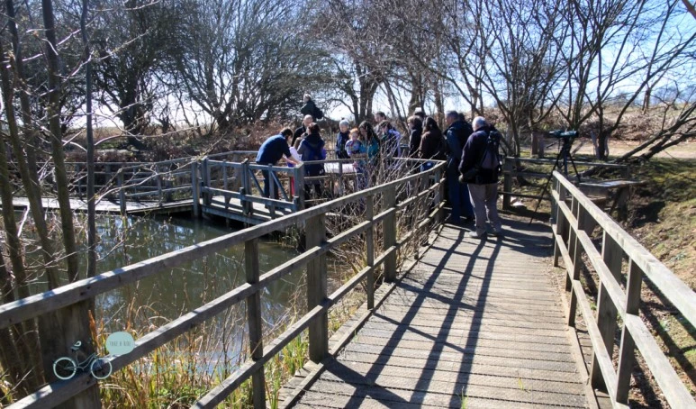 IMG_3658.jpg?type=w773