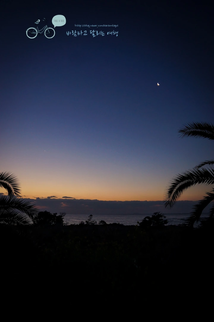 DSC00001_2.jpg?type=w773