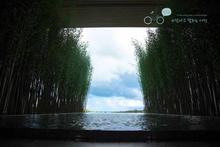 IMG_0667_wide1080%EB%B0%94%EB%9E%8Cmark.jpg?type=w773