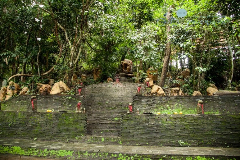 IMG_0300_wide1080%EB%B0%94%EB%9E%8Cmark.jpg?type=w773