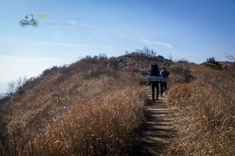 DSC04567_wide1080mark.jpg?type=w773