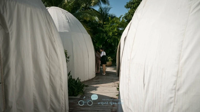 _1040253_Edit-_Wide1080mark%EB%B0%94%EB%9E%8C.jpg?type=w773