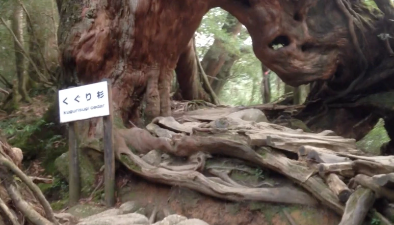 %EC%8A%A4%ED%81%AC%EB%A6%B0%EC%83%B7_2017-02-03_11.31.18.png?type=w773