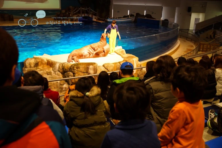 DSC00313_2.jpg?type=w773