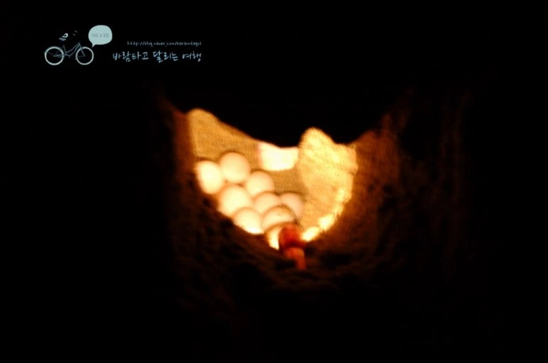 114%B9%D9%B4%D9%B0%C5%BA%CF%C0%C7%BB%EA%B6%F52-2.jpg?type=w773