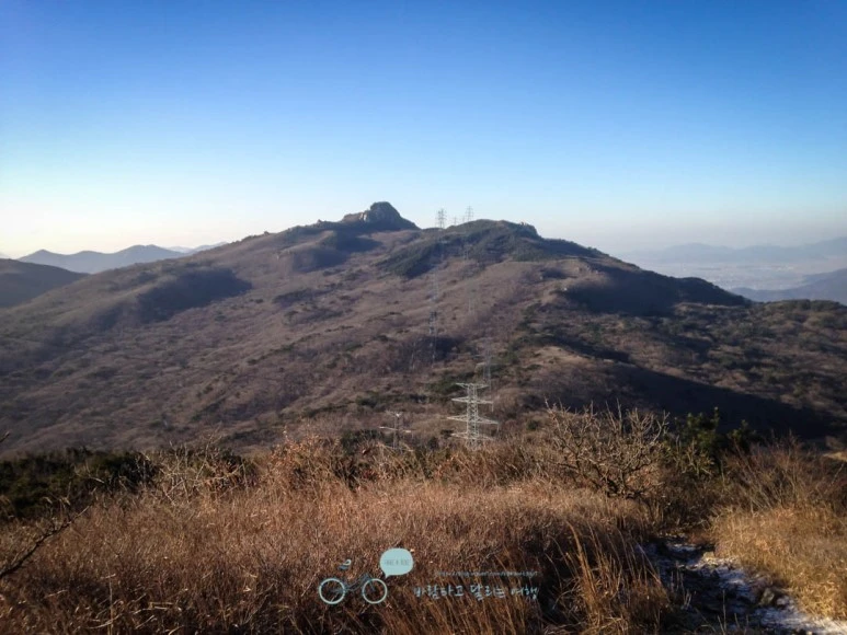 IMG_1396-_Wide1080mark%EB%B0%94%EB%9E%8C.jpg?type=w773