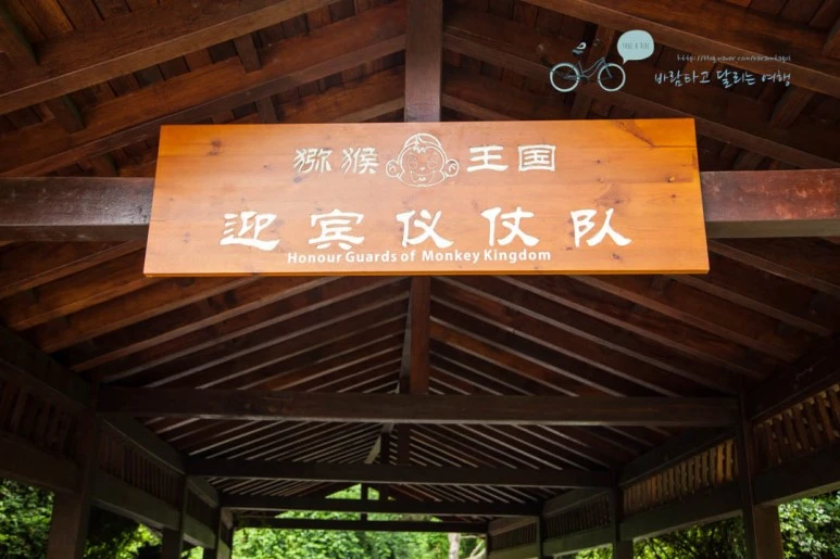 IMG_1331_wide1080%EB%B0%94%EB%9E%8Cmark.jpg?type=w773