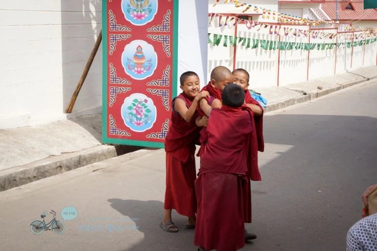 DSC00329.jpg?type=w773