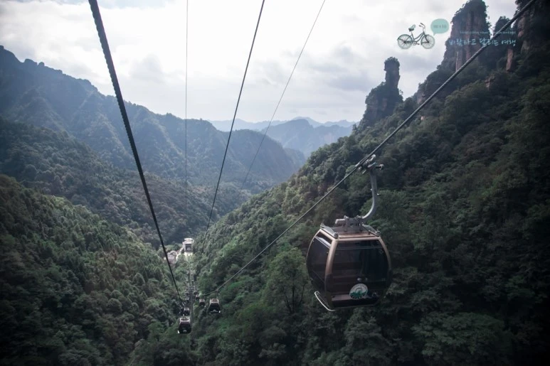 IMG_1142_Wide1080mark%EB%B0%94%EB%9E%8C.jpg?type=w773