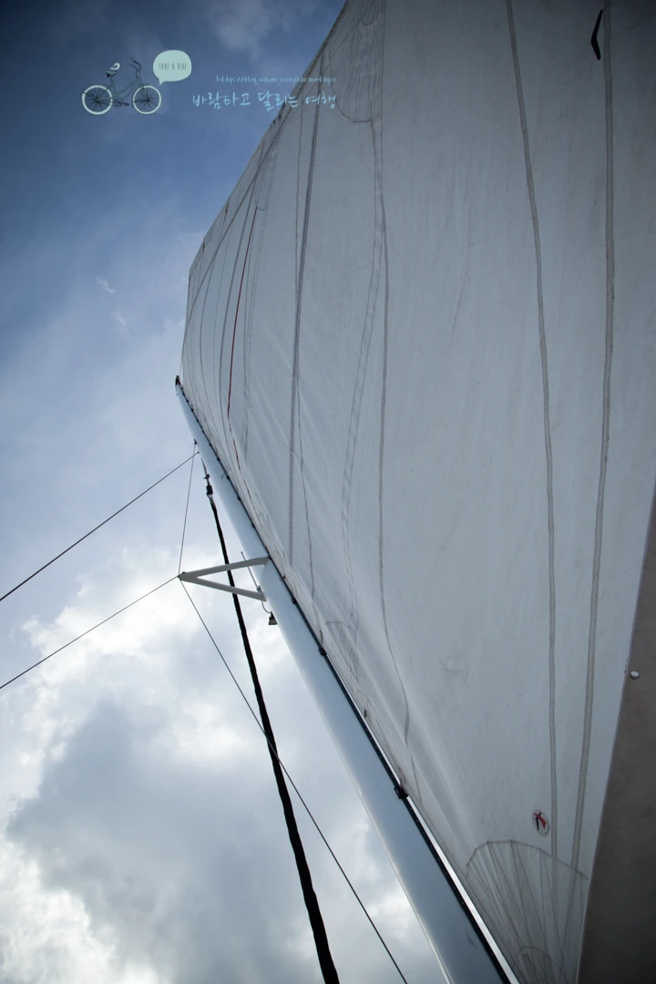 IMG_0054_Wide1080mark%EB%B0%94%EB%9E%8C%ED%83%80%EA%B3%A0-2.jpg?type=w773