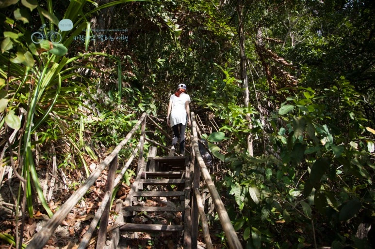 IMG_2268_Wide1080mark%EB%B0%94%EB%9E%8C%ED%83%80%EA%B3%A0.jpg?type=w773