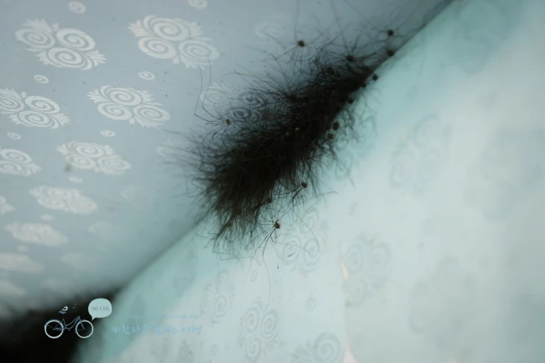 DSC00032.jpg?type=w773