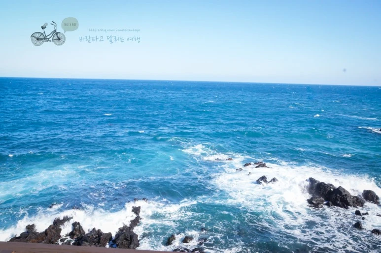 DSC00050_2.jpg?type=w773