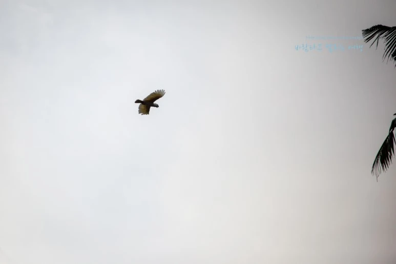 5D_IMG_1672_Short1200mark%EB%B0%94%EB%9E%8C.jpg?type=w773